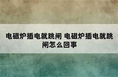 电磁炉插电就跳闸 电磁炉插电就跳闸怎么回事